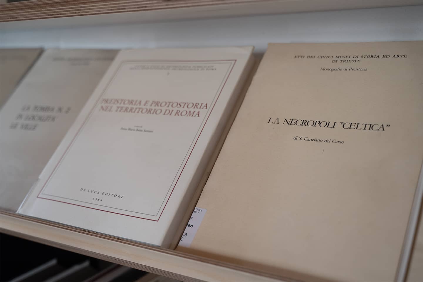 biblioteca-montereale-valcellina-4